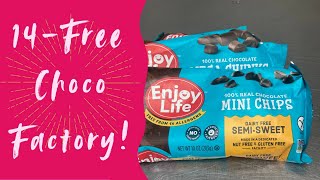 In Hand Review of Enjoy Life Semi Sweet Chocolate Mini Chips