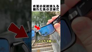 ただの川だと思ったら…!?釣り用「魔法のメガネ」越しの驚愕の光景