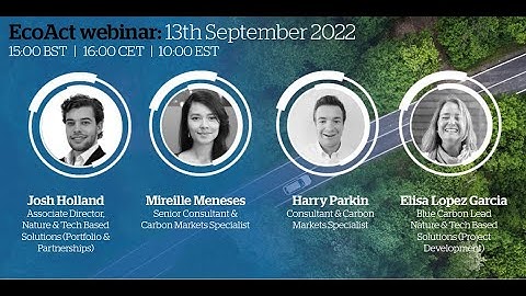 EcoAct webinar: How to integrate a robust offsetting strategy into your net-zero journey
