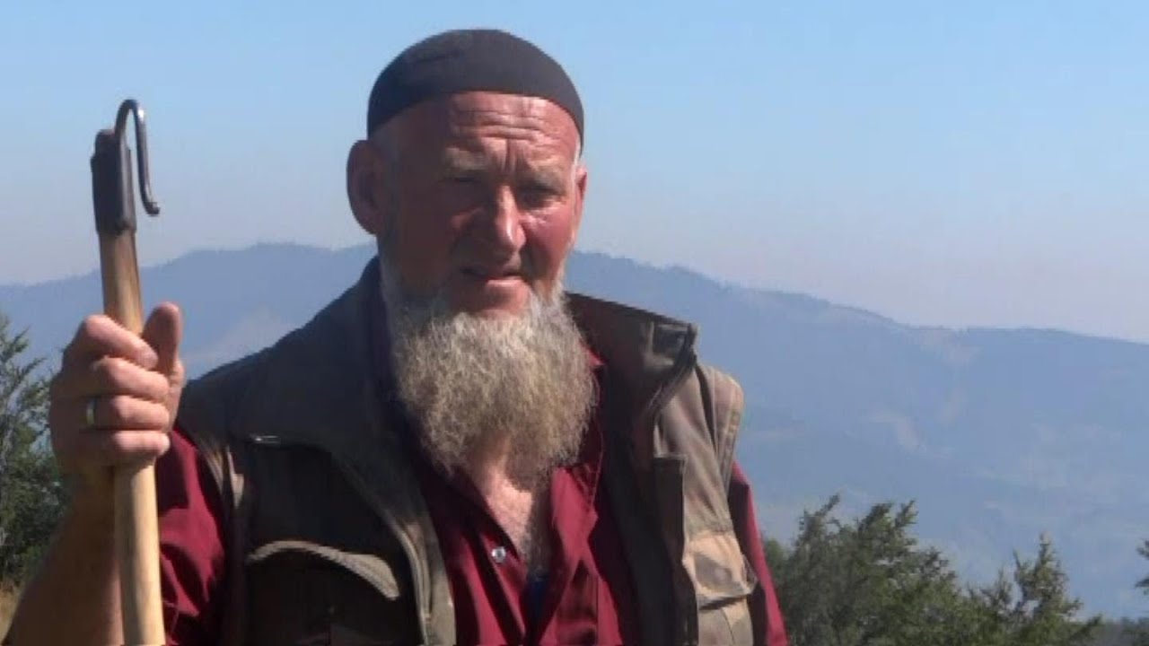 PAŠINAC 2016-- mountain nature