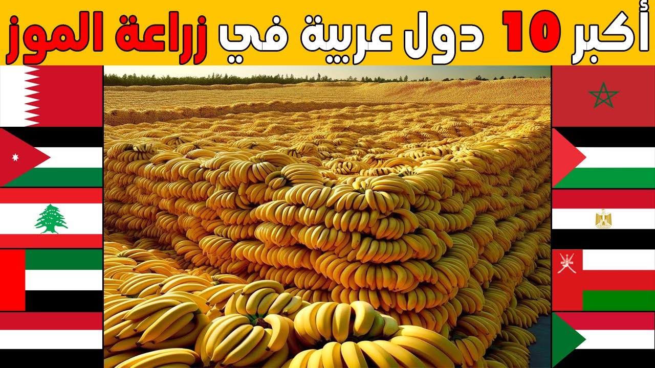 من هي أكبر دولة عربية في زراعة و انتاج فاكهة الموز؟ تصنيف جديد لأكثر 10 محاصيل موز عند الدول العربية