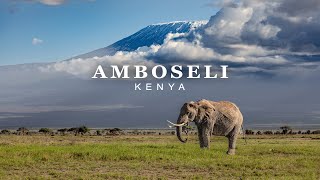 Amboseli, Kenya | Wildlife Photographic Safari | 4k 100fps