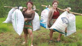 Xiavaj and maivkawm carry bags filled with fresh green grass to use as fertilizer for crops