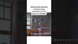 The Day My Cat Starred in a Facebook Ad