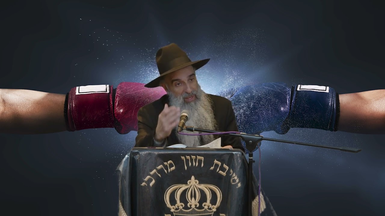 קצרים-הרב מאיר דוד שמואלי -חשיבות השלום והאחדות
