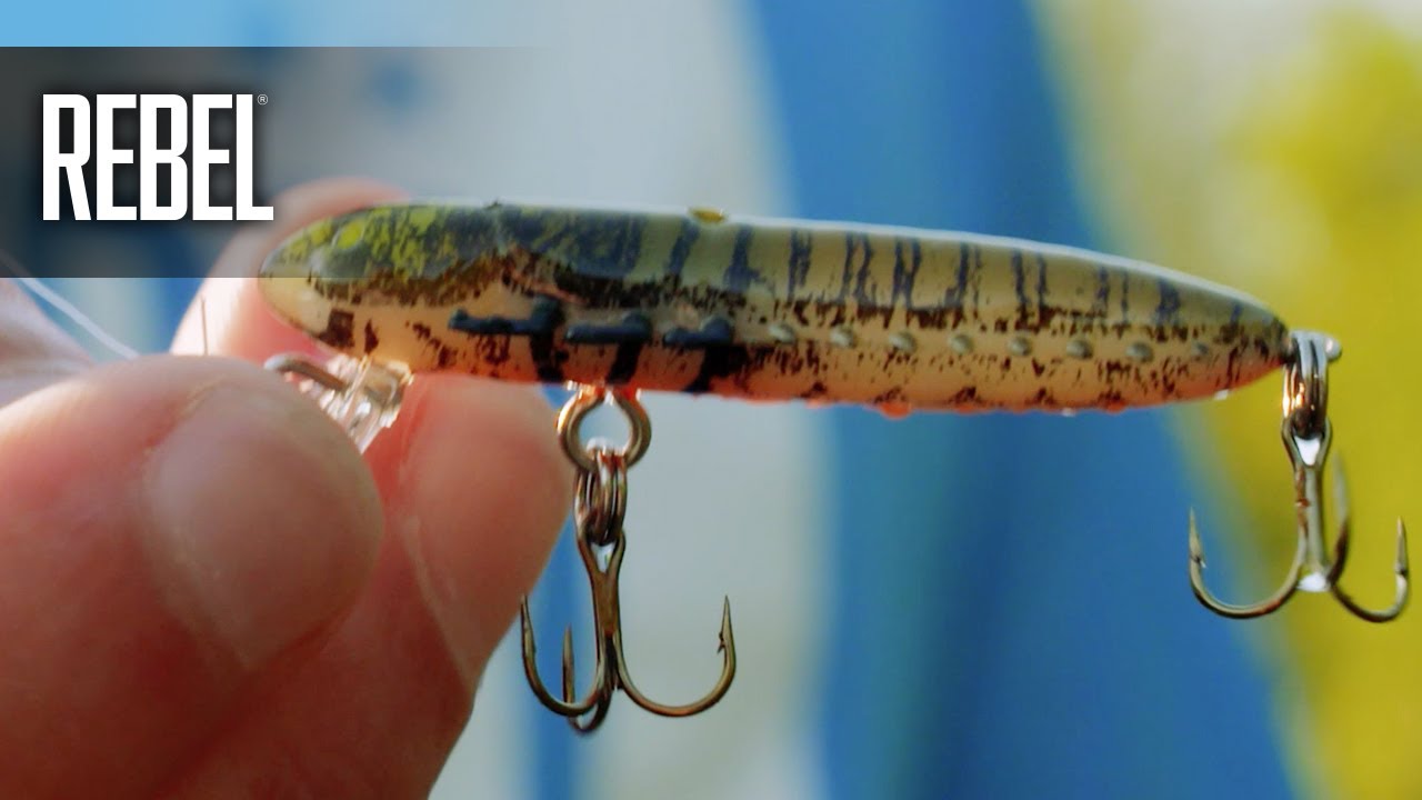 Rebel Lure Company - A Rebel Hellgrammite sinks and has a subtle action,  both features that make it a good option for fishing late in the year, when  cooler water slows fish