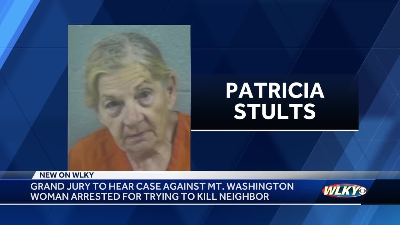Grand jury to hear case against Mt. Washington woman arrested for ...