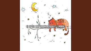 Bedtimes Call - Baby Sleep