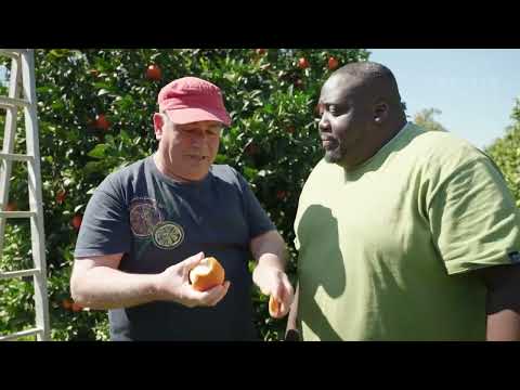 Φτάσαμε | Ο Ζερόμ Καλούτα φτιάχνει παραδοσιακά κουλουράκια πορτοκαλιού | 21/04/2024 | ΕΡΤ