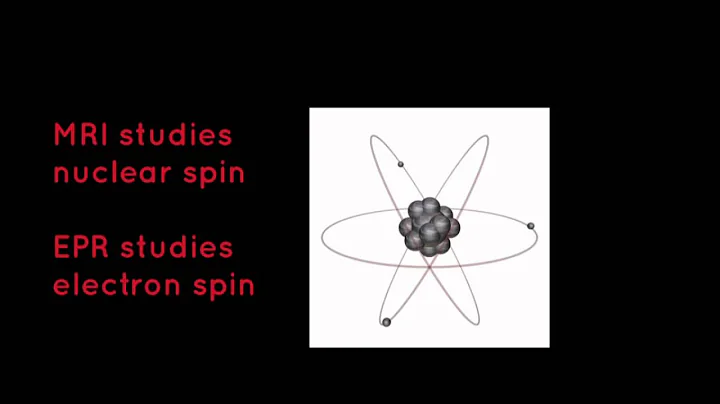 Electron Paramagnetic Resonance Imaging: Using Che...