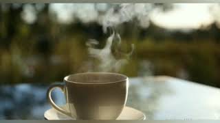 Story WA keren 30 detik | SELAMAT PAGI #1