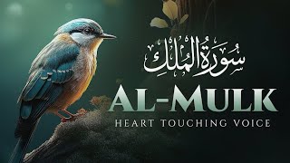 Surah Al Mulk سورة الملك | Calm Your Thoughts with This Soft, Tranquil Tilawah screenshot 4
