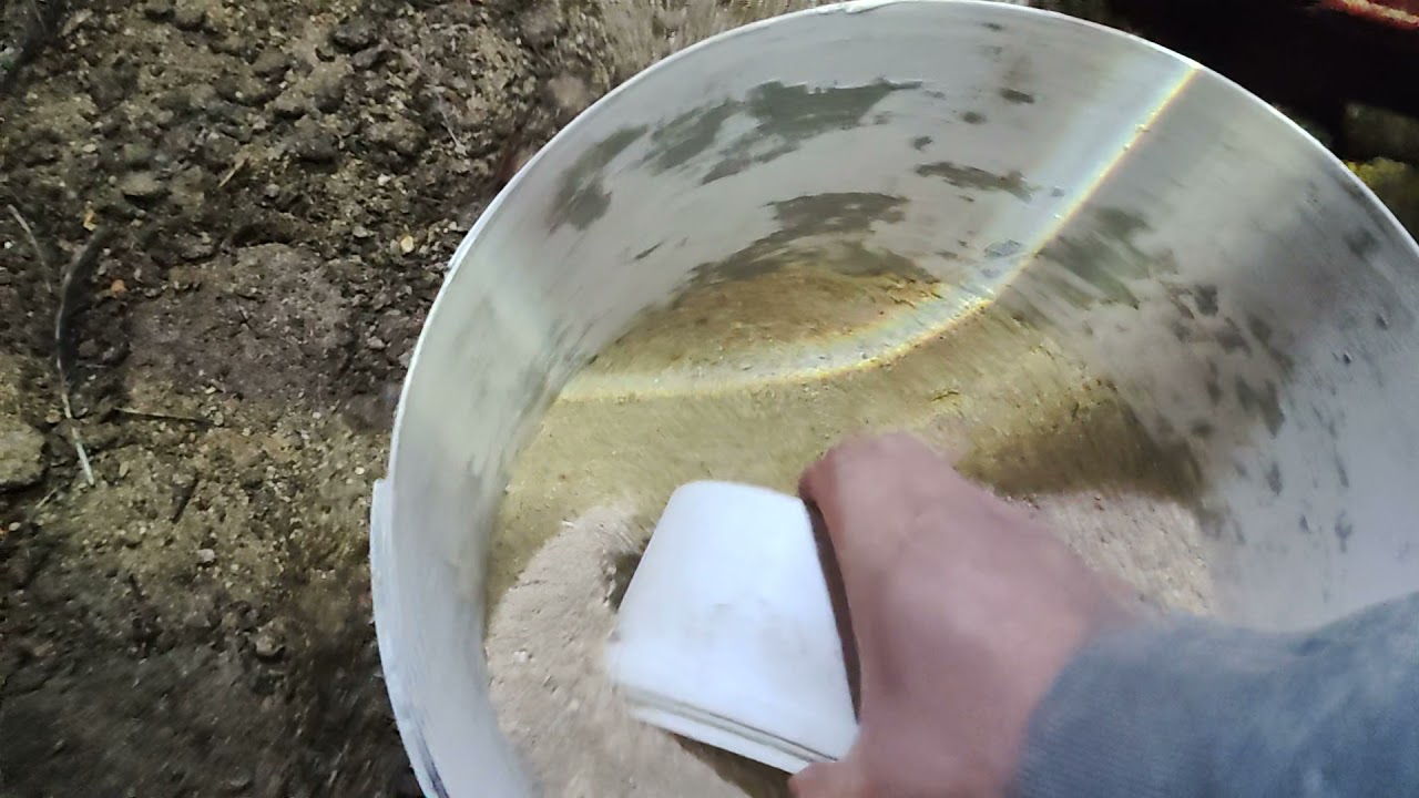 Индоүйрекке қатысты алғашқы тәжірибем.  👍