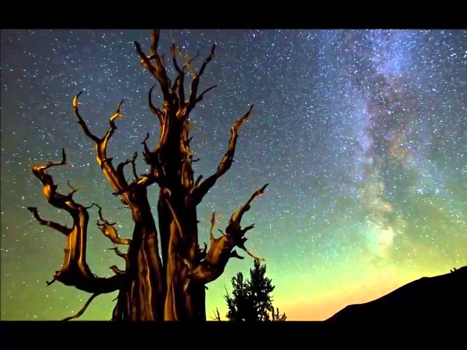Guarda OLIVER SCHULZ & DMITRII G - Радуга (Video mix) su YouTube Guarda OLIVER SCHULZ & DMITRII G - Радуга (Video mix) su YouTube