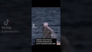 Sirenele Exista? O Pagina Interzisa Dark Web Ne Arata Existenta Acestora