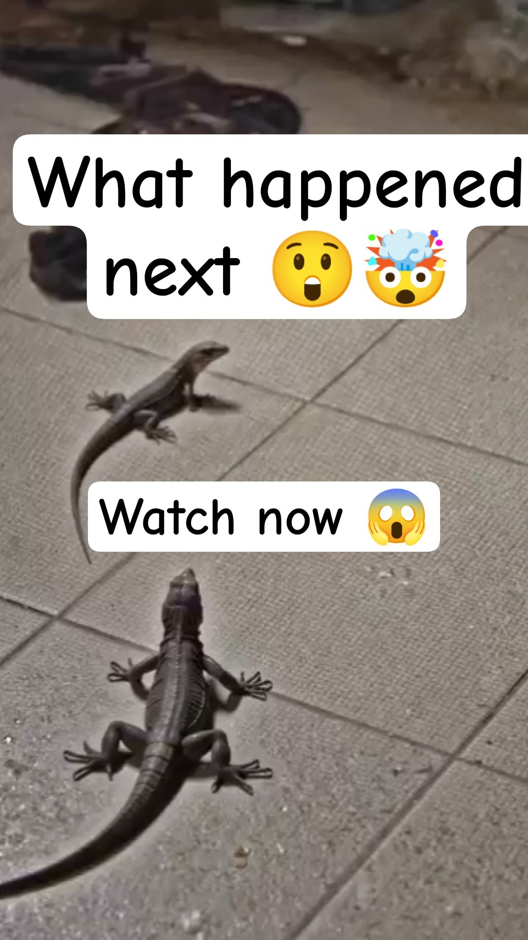 🎈एंटरटेनमेंट एक्सप्रेस📸 - ShareChat