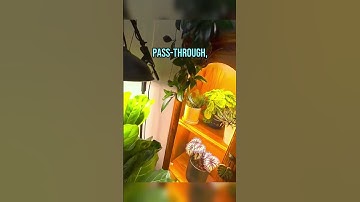 These hyperscape captures are soooo trippy #vr #quest3 #questcreatorpartner