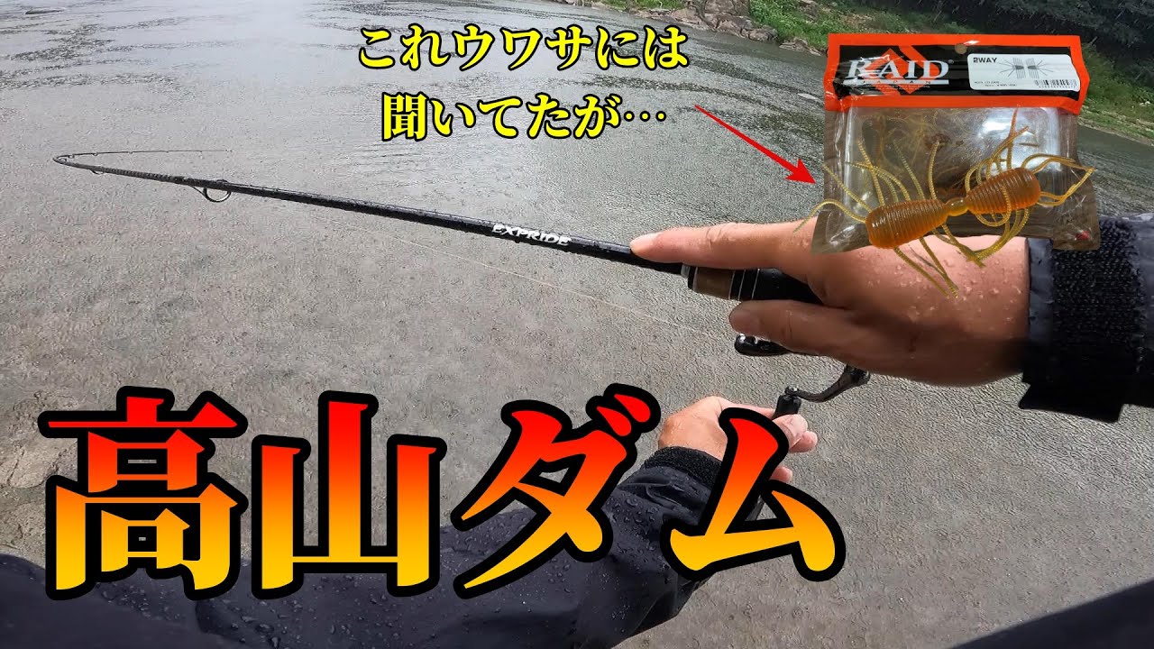 バックウォーターにいる天才バスをオカッパリで狙う 青蓮寺湖 バス釣り Youtube