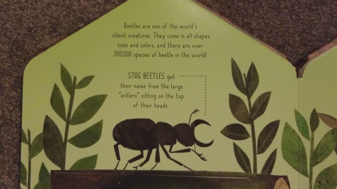 Inside Usborne Bug Hotel YouTube