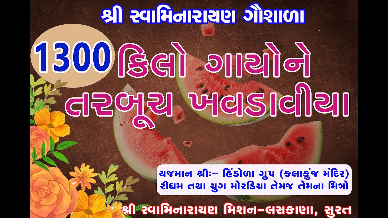 1300 કિલો ગાયો ને તરબૂચ ખવડાવીયા   #gircow  @SwaminarayanGaushalaMission ​