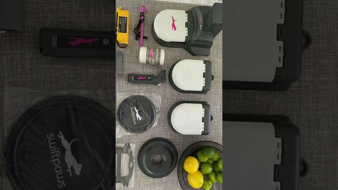 Hyper Dog? This Chase Toy is a Lifesaver! 🐶✨ 