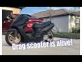 First Start!! The Drag Scooter Lives- 232cc-