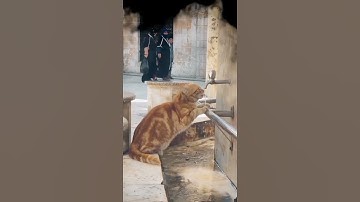 #سورة الإسراء - بصوت الشيخ عبد الباسط محمد عبد الصمد