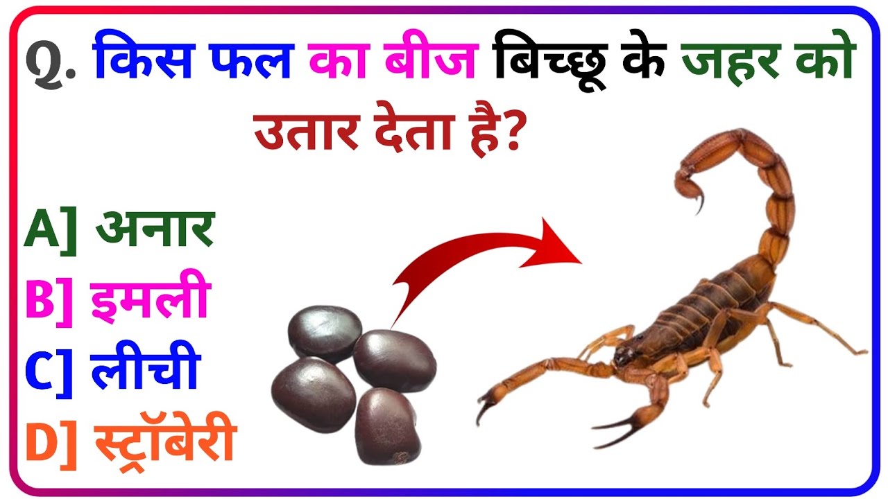 Gk Question || Gk In Hindi || Quiz Gyaan || Gk Questions and Answers || Daily Gk Quiz 