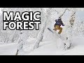 Magic Forest Snowboarding in Japan