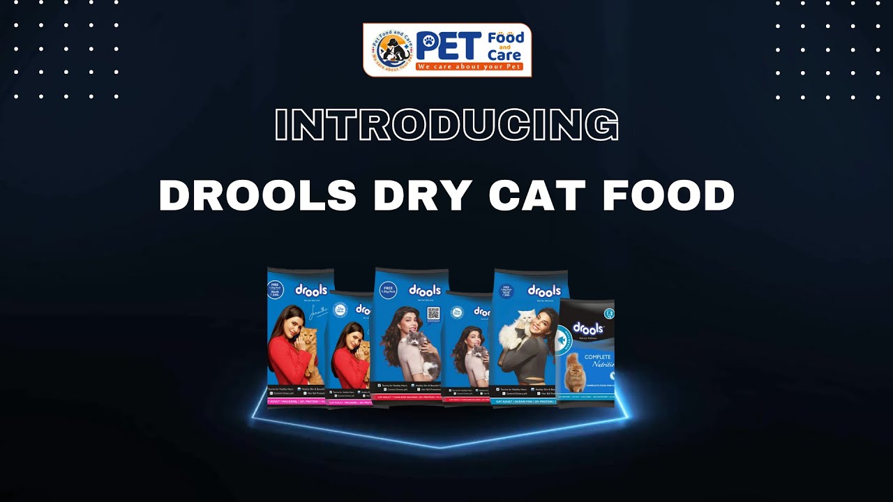 Why Drools Cat Food is the Perfect Choice for Your Feline Friend | Pet Food and Care