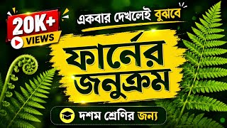 ফার্নের জনুক্রম || Alternation of Generation ||  Class 10 Life Science Chapter 2 || By Swagata Dhut screenshot 5