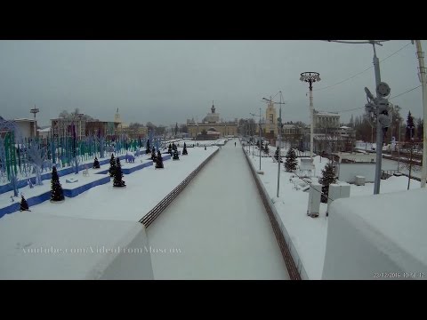 Каток на ВДНХ