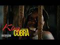 King CobraHyro The Hero