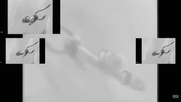 Dreamworks Animation SKG (Shark Tale Variant) in Robot Sounds 3.0 has a Sparta Gamma Remix