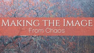 Making the Image 002: From Chaos