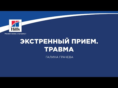 Вебинар на тему: «Экстренный прием. Травма». Лектор – Галина Грачева.