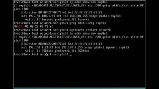 How to set dynamic ip in Fedora/CentOS using console commands