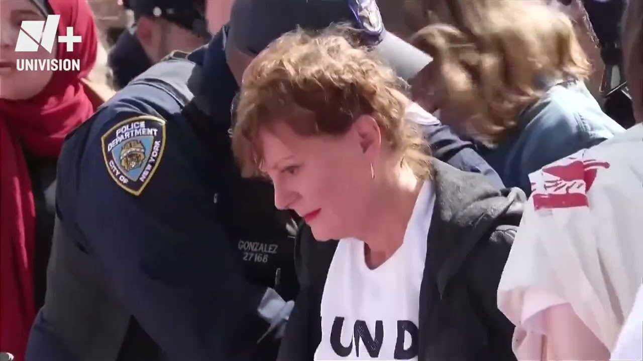 DETENIDA SUSAN SARANDON EN NUEVA YORK