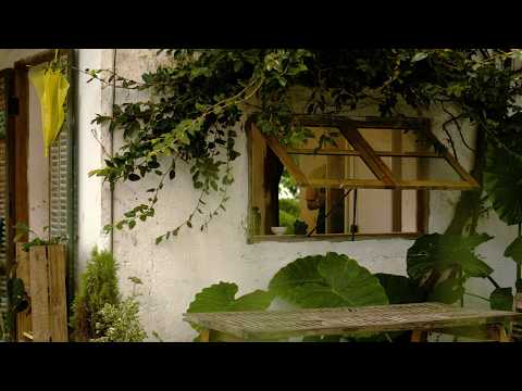 Piano to Listen to When You Need Rest | Comforting Daily Praise | Praise to Start the Day