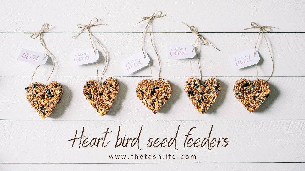 DIY Heart Shaped Bird Seed Feeders Valentine's Day Craft YouTube