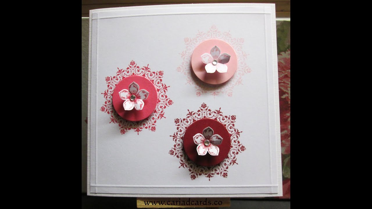 Everything Eleanor with petite petals