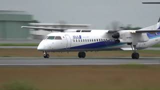 熊本空港 ANA WINGS DHC-8-400 JA843A