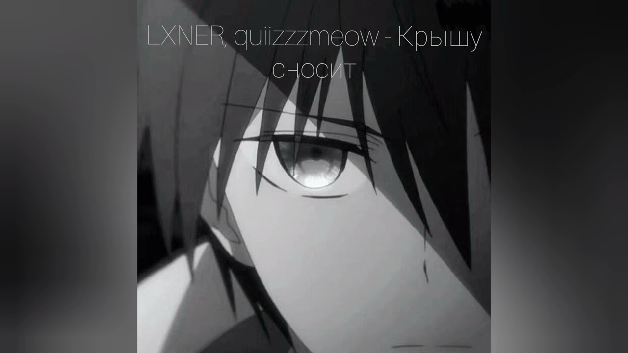 крышу сносит lxner, quiizzzmeow обложка. Quiizzzmeow x justci. Lxner feat quizzmay. Quizzzmeow сети. Quiizmeow и lxner.