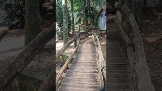 Parque estadual do Jaraguá SP Pt 1 Encontrei a trilha do silêncio