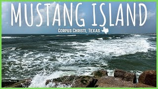 Discover the Wonders of Mustang Island State Park in Texas!