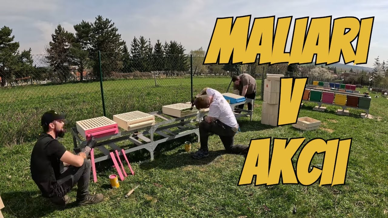 Пчелиным ульям нужен цвет — это мой выбор #пчеловод #мед