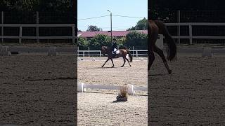 Au galop les notes s’envolent