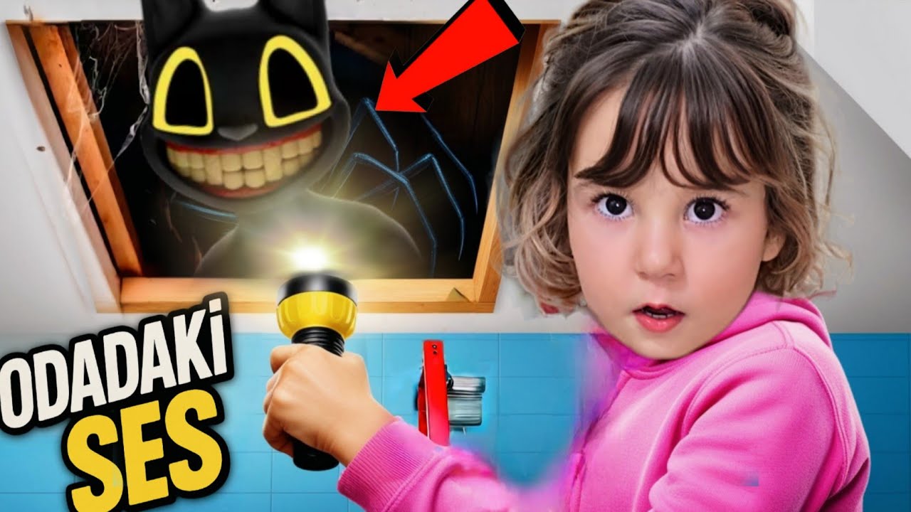 EYVAH MİLA CAT NEREYE SAKLANDI!!! KİMİ KAÇIRIYOR !!