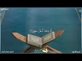 سورة التين كاملة مكتوبة بصوت القارئ هشام الهراز