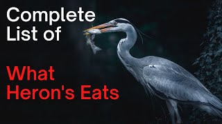 What Herons Eat - Complete List of What Herons Hunt